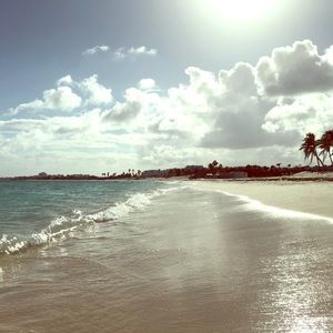 Meet your Posher, Chief